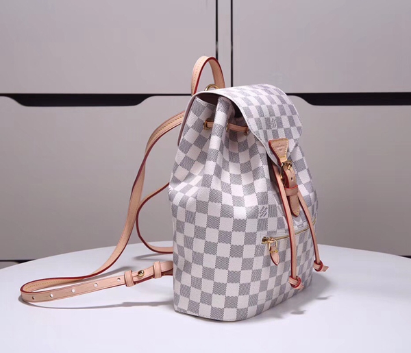 ルイヴィトンバッグ背面デザイン